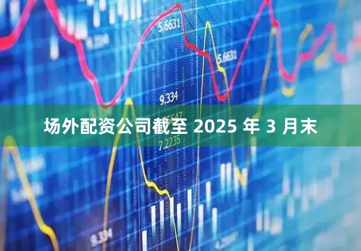 场外配资公司截至 2025 年 3 月末