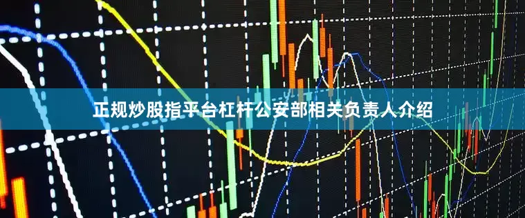 正规炒股指平台杠杆公安部相关负责人介绍