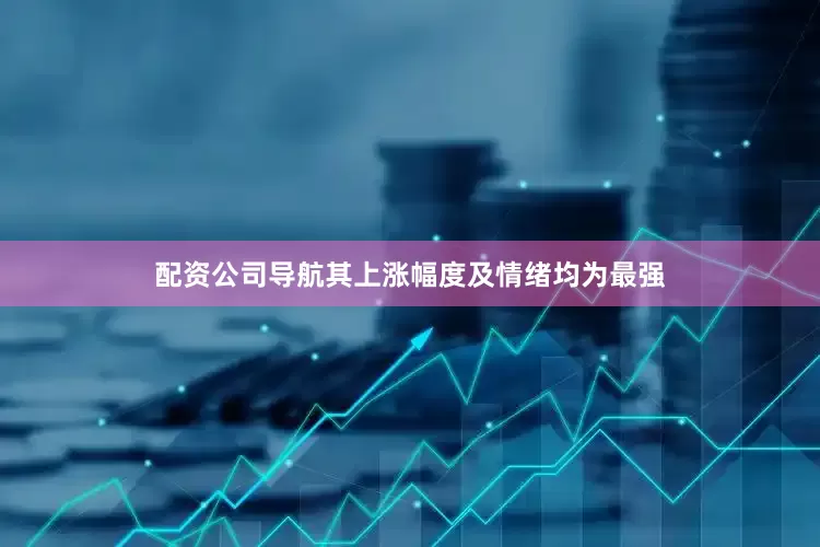 配资公司导航其上涨幅度及情绪均为最强